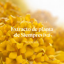 precious-immortelle-ogonkontur