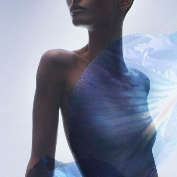iris-bleu