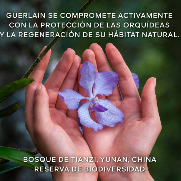 orchidee-imperiale-nowy-bogaty-krem-na-dlugowiecznosc