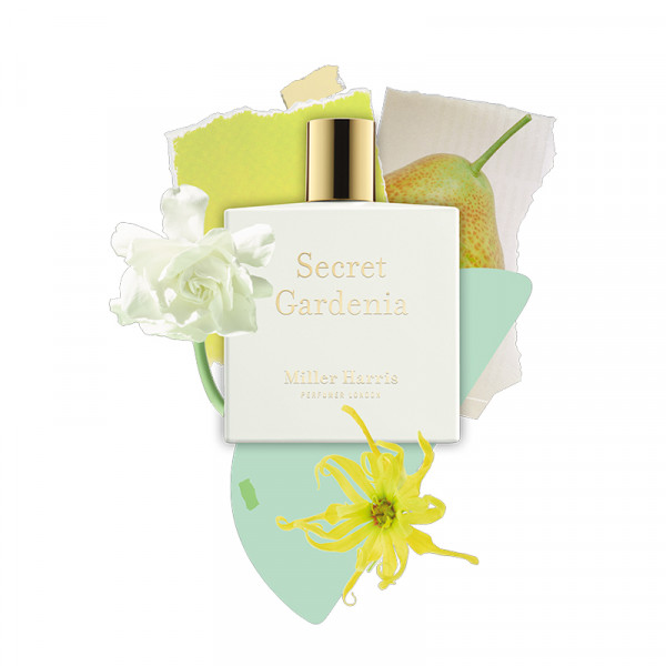 secret-gardenia