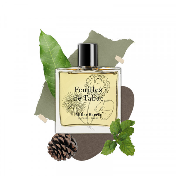 feuilles-de-tabac feuilles-de-tabac