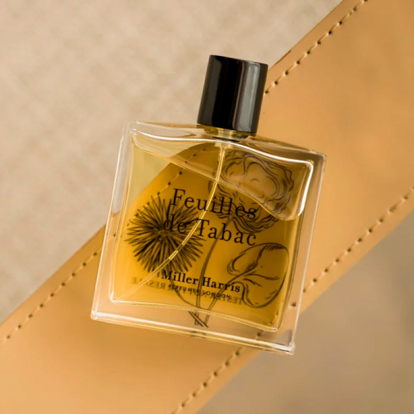 feuilles-de-tabac feuilles-de-tabac