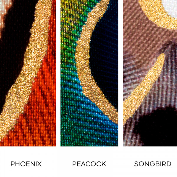rouge-g-carcasa-the-songbird