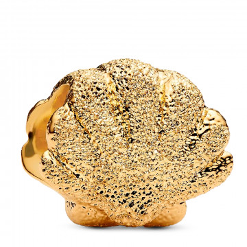 charm-mini-shell-texture-764057c00