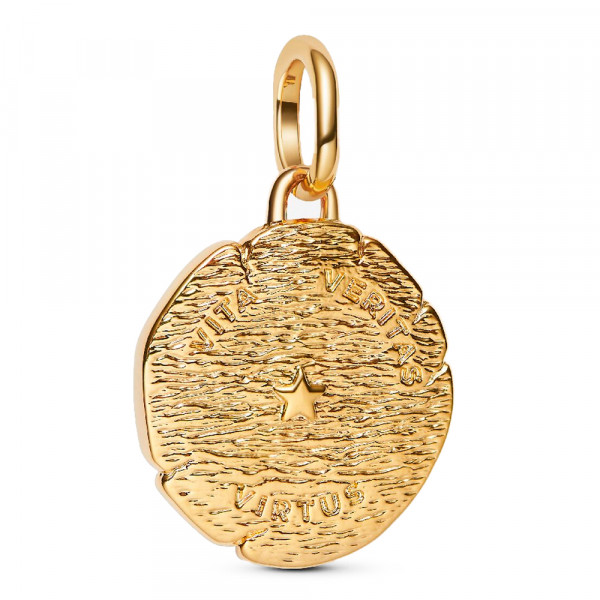 pingente-de-medalhao-de-leao