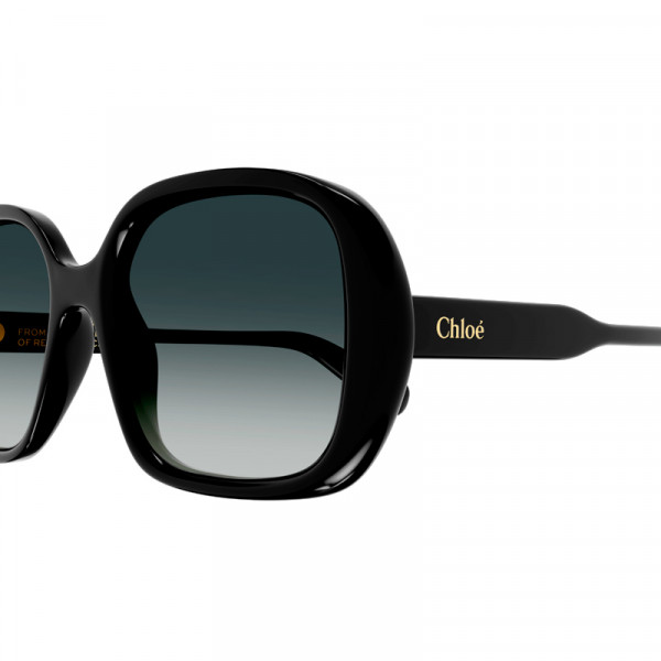 oculos-de-sol-ch0222s