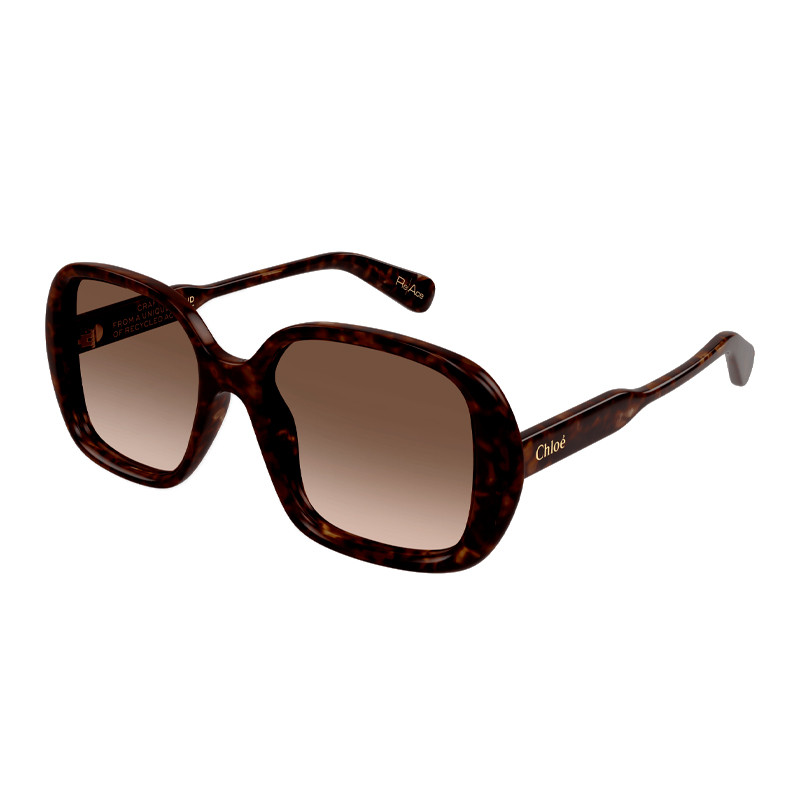 Chloe Sunglasses Occhiali da sole da donna Occhiali da sole Ch0222S