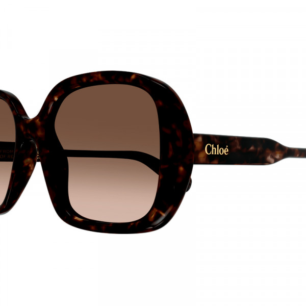 oculos-de-sol-ch0222s
