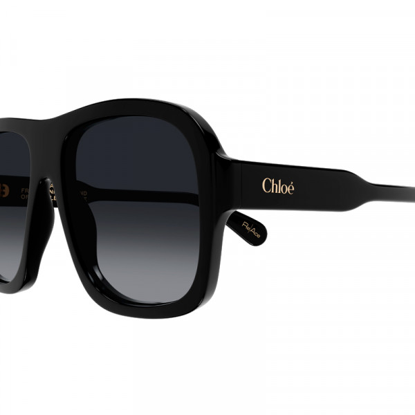 gafas-de-sol-ch0331s