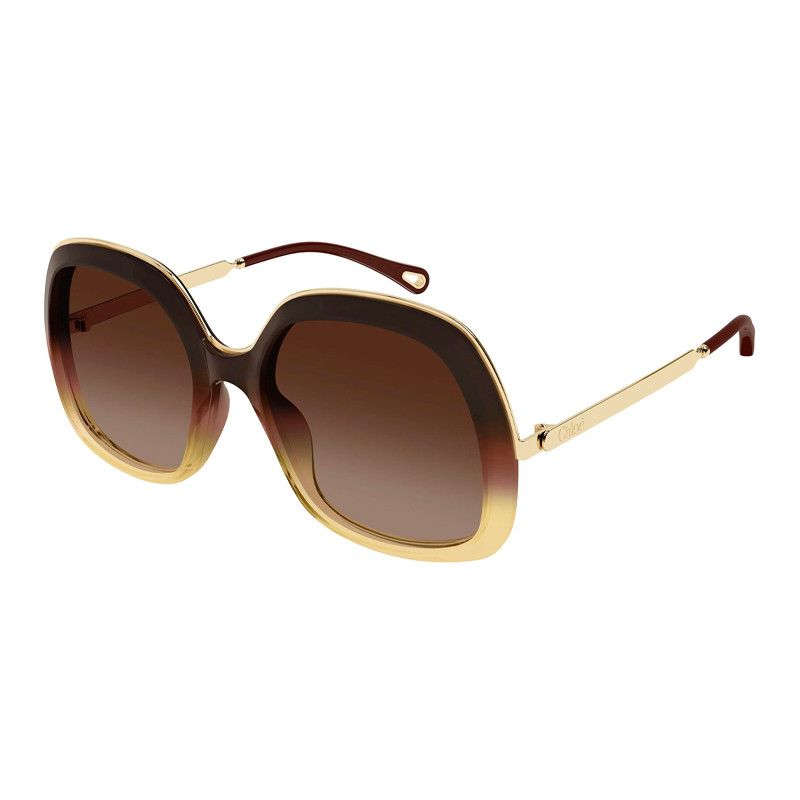 Chloe Sunglasses Women's Brown Sunglasses For Sunglasses Ch0327s