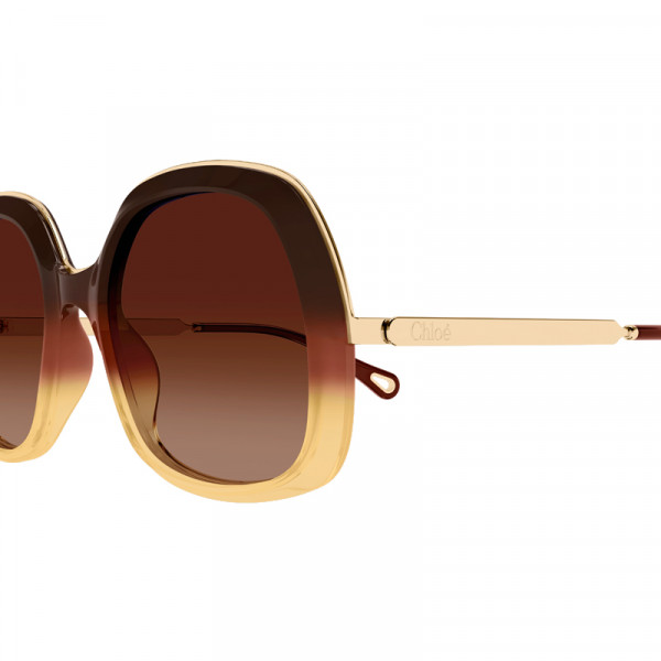 gafas-de-sol-ch0327s