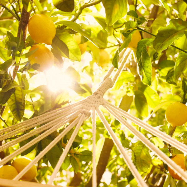 replica-under-the-lemon