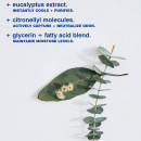 eucalyptus-deodorant-stick-deodorant