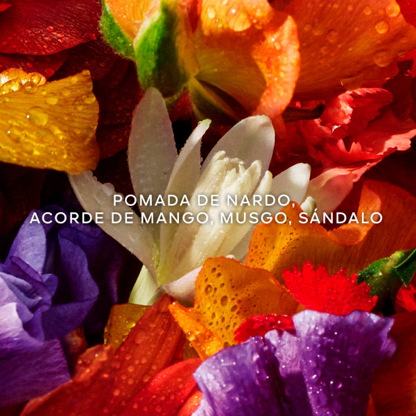 aqua-allegoria-forte-florabloom-eau-de-parfum-set