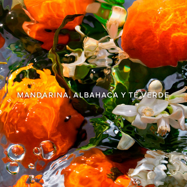 aqua-allegoria-mandarine-basilic-eau-de-toilette-coffret