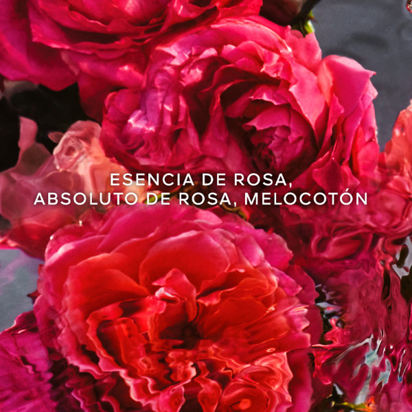 aqua-allegoria-forte-rosa-rossa-eau-de-parfum-satz