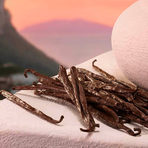 devotion-eau-de-parfum-intense