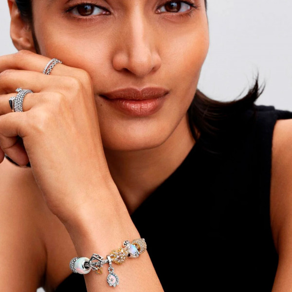 siegel-charm-794146c01