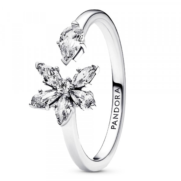 herbario-de-anel-aberto-brilhante-192611c01