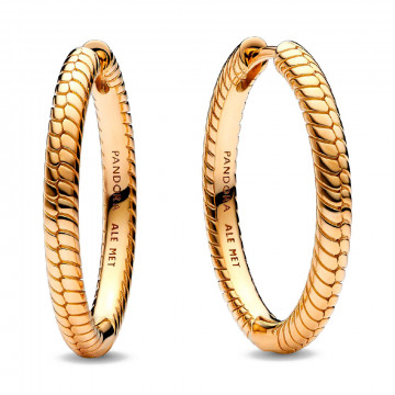 pandora-moments-hoop-earrings-269532c00