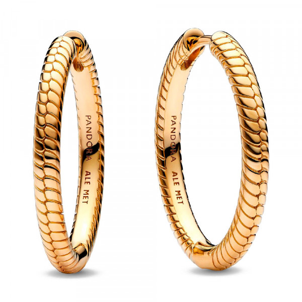 brincos-de-argola-pandora-moments-269532c00