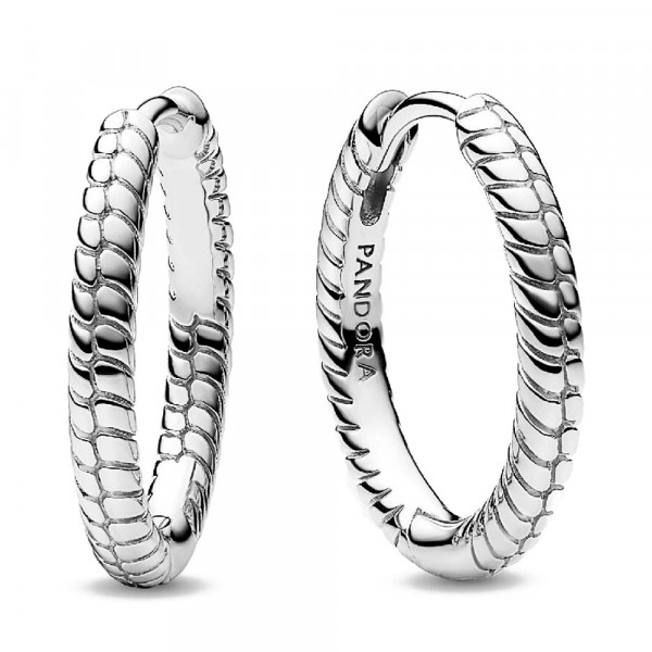 boucles-d-oreilles-creoles-pandora-moments-pour-petits-charms-292728c00