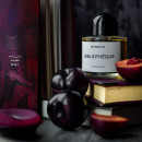 bibliotheque