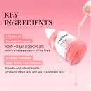 pdrn-pink-peptide-serum-aterfuktande-och-uppstramande-serum