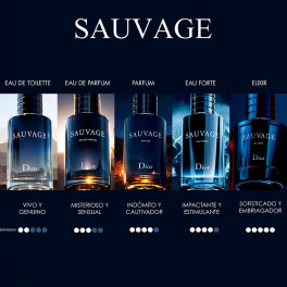 Sauvage Eau de Toilette - Dior - Sabina
