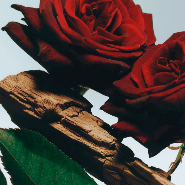 velvet-rose-oud-body-spray