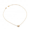 collar-till-morning-jubn05549jw