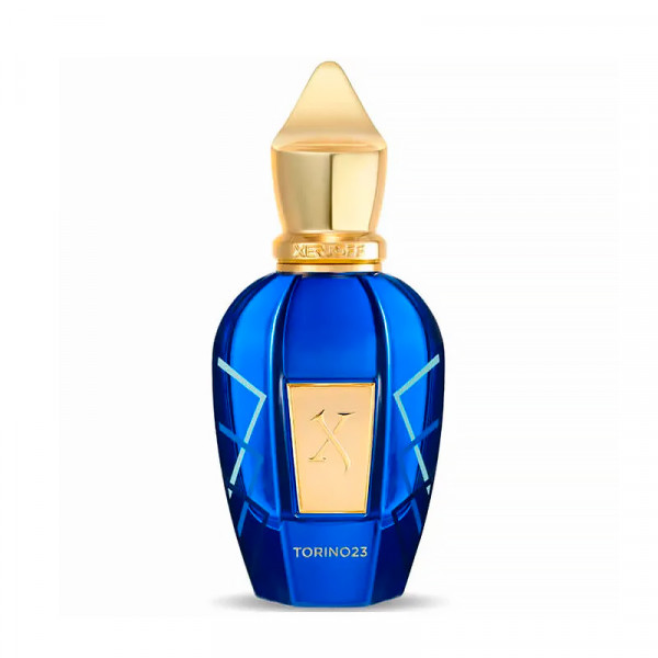 torino23