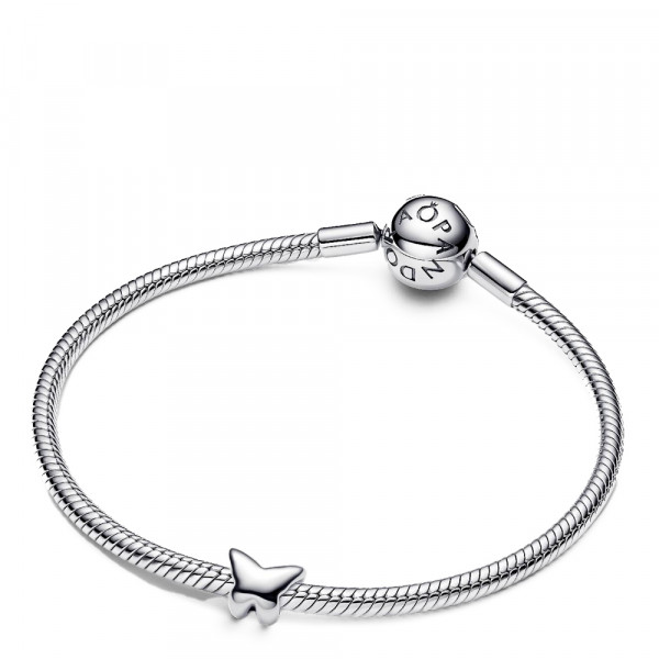 mini-papillon-charmeur