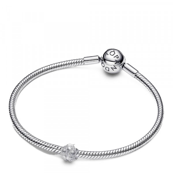 charm-mini-coccinelle-texture