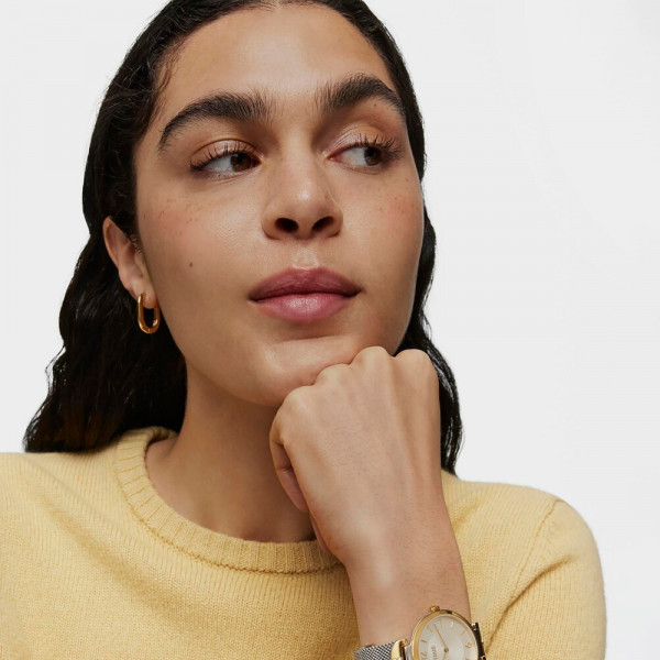 stainless-steel-s-mesh-watch