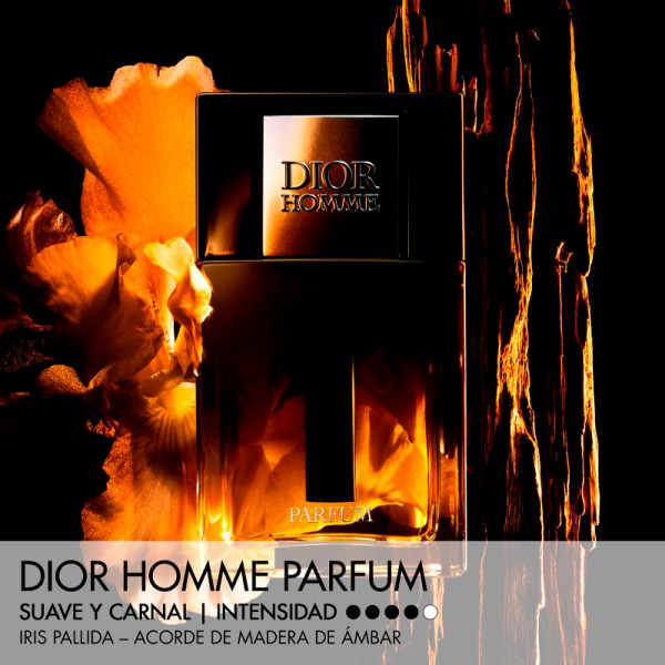 dior-homme-parfum-perfume-notas-de-ambar-amadeiradas-e-florais