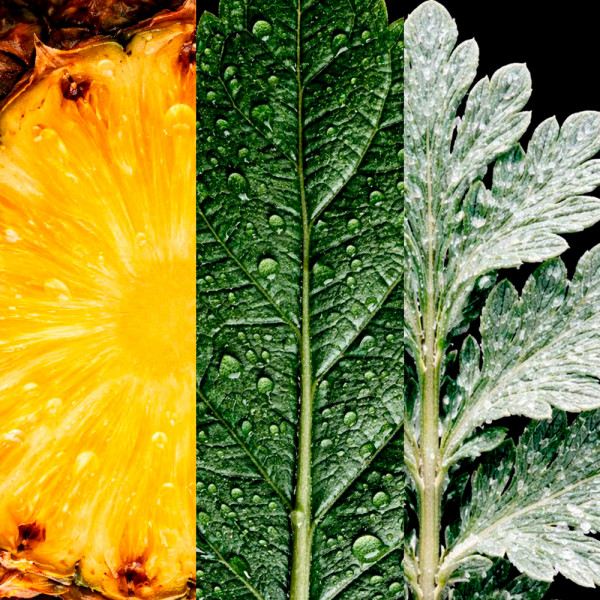 212-vip-black-eau-de-parfum-cab