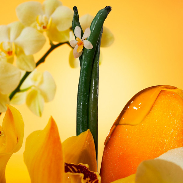 euphoria-solar-elixir