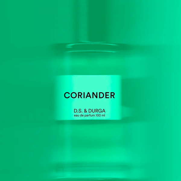 coriander