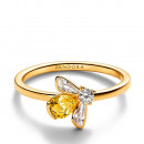 anel-de-abelha-melifera-164562c01