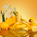 euphoria-solar-elixir