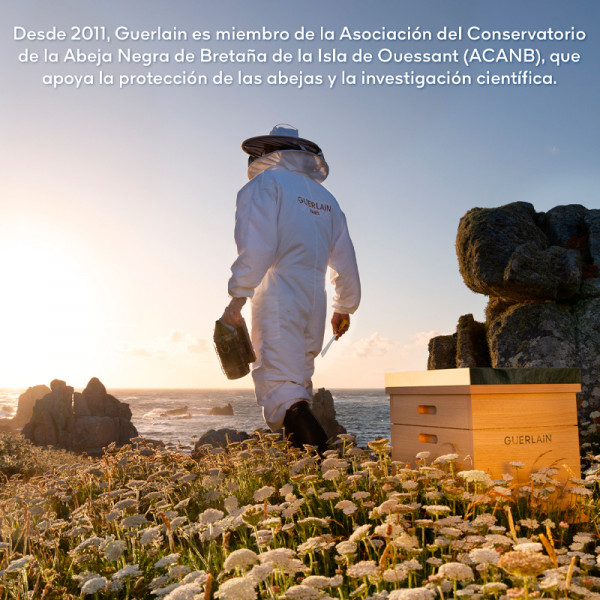 abeille-royale-cream-set-youth-repair-anti-aging-ritual