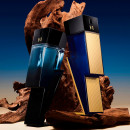 bad-boy-cobalt-absolute