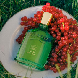 Wild Vetiver - Creed - Sabina