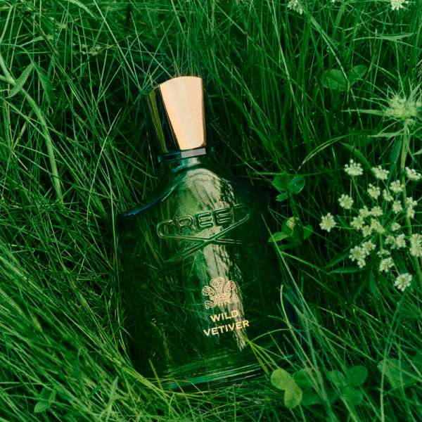 wild-vetiver
