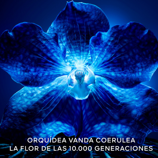 orchidee-imperiale-the-lightweight-longevity-cream