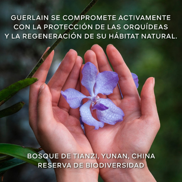 orchidee-imperiale-the-lightweight-longevity-cream