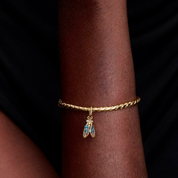 cicada-charm-764490c01