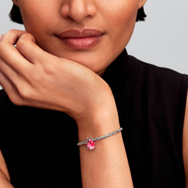 lumaca-rosa-incantata