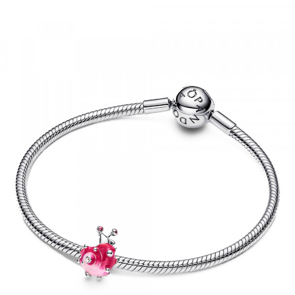 caracol-rosa-encantador